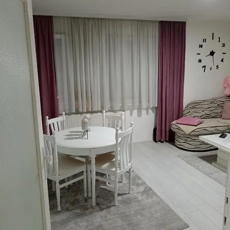 Apartment Centar *