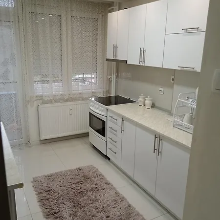 Apartment Centar *